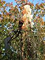 2008-10-11_Tiverton_Trustom 057